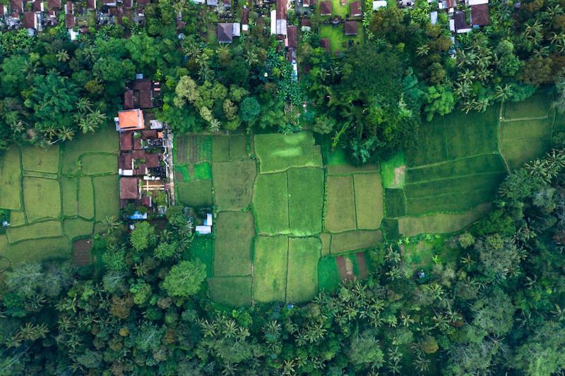 Villa Amrita Ubud Esterno foto